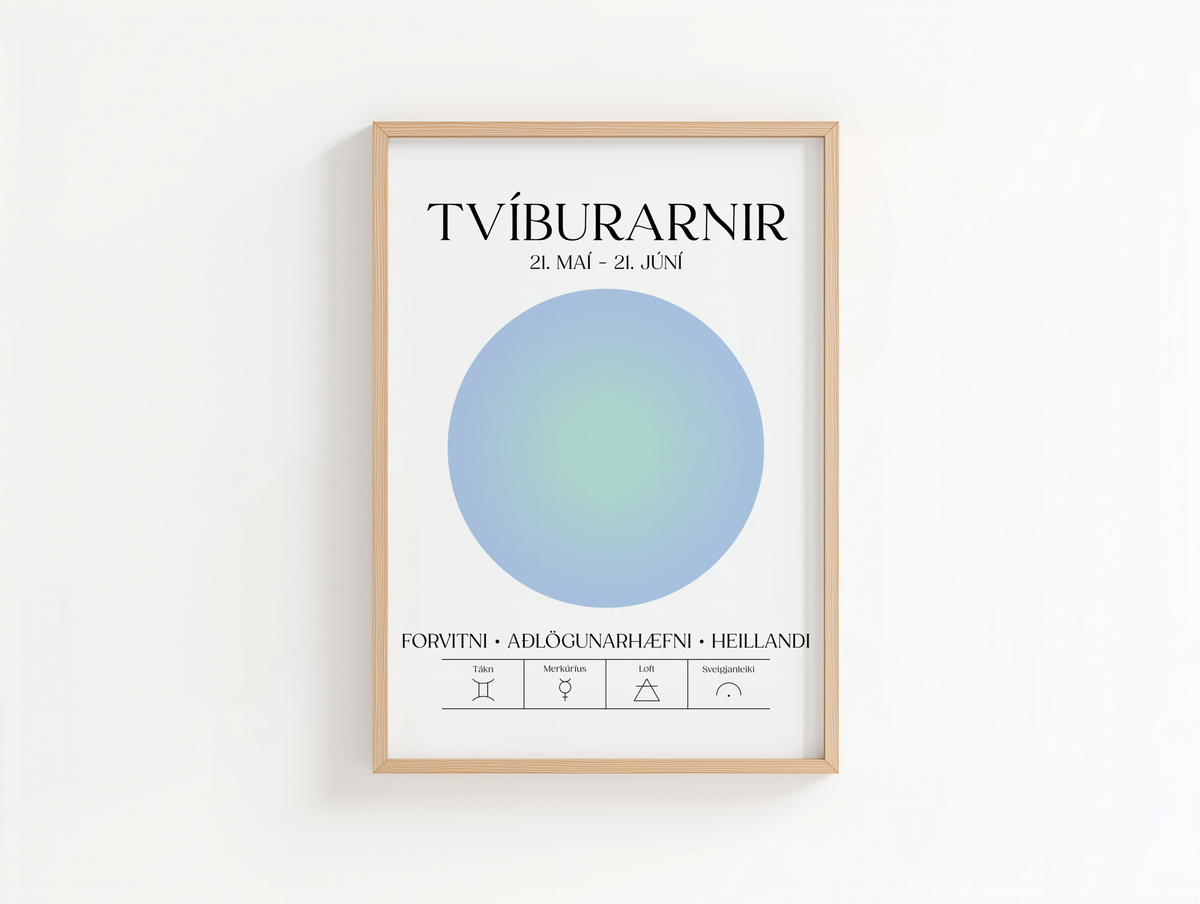 Tvíburarnir - Plakat