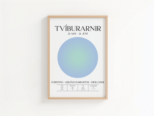 Tvíburarnir - Plakat